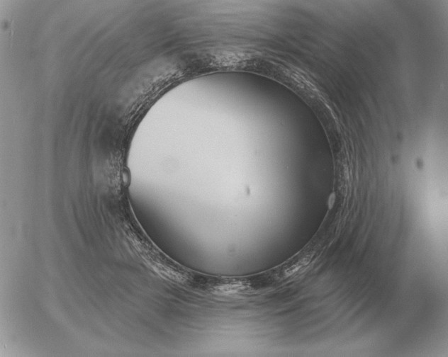 X0000052980505200507221331