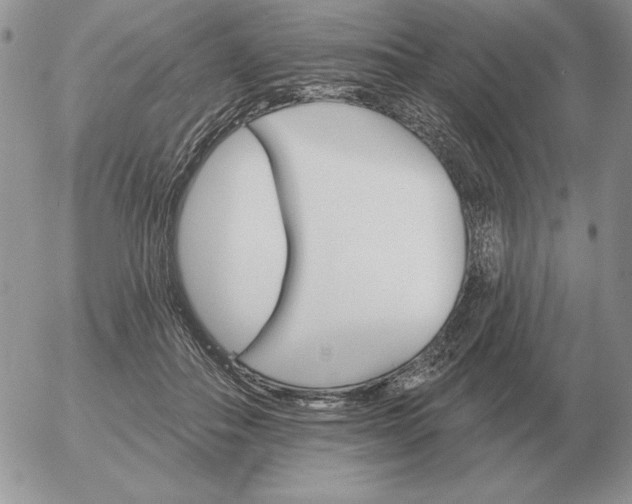 X0000052980506200507221331