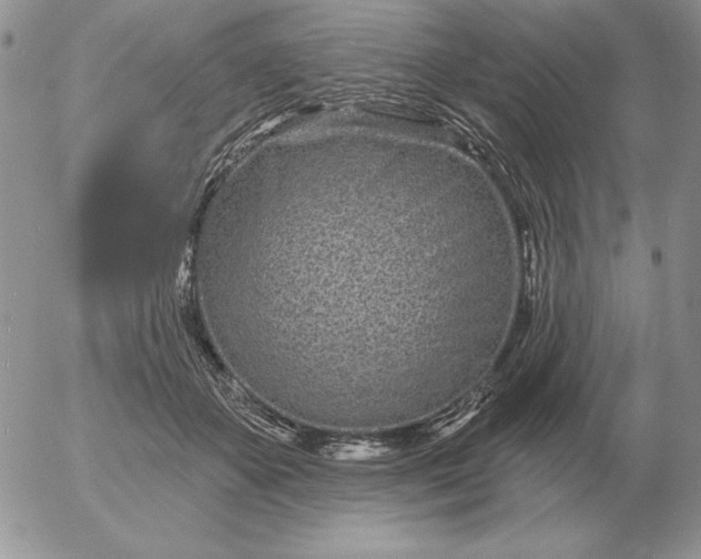 X0000052980507200507221331