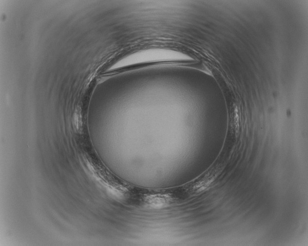 X0000052980508200507221331