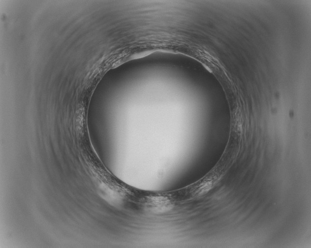 X0000052980509200507221331