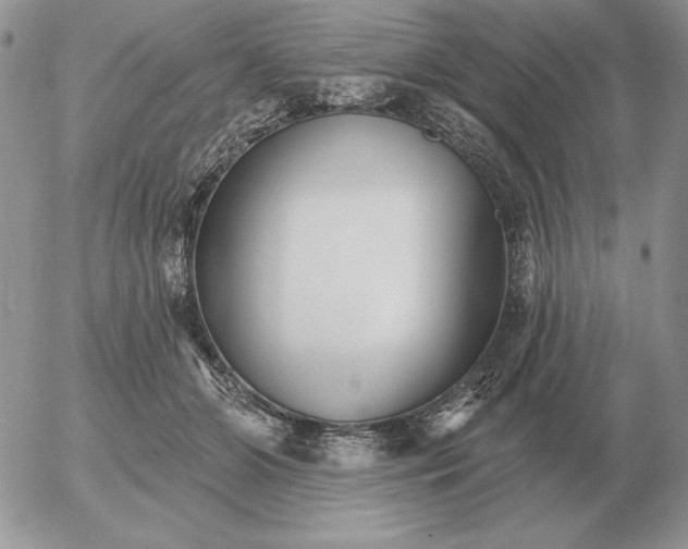 X0000052980510200507221331