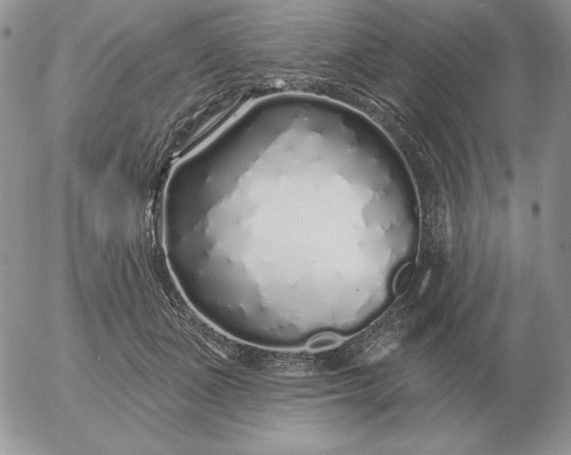 X0000052980511200507221331