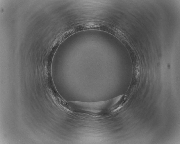 X0000052980512200507221331