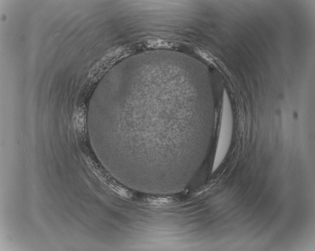 X0000052980513200507221331