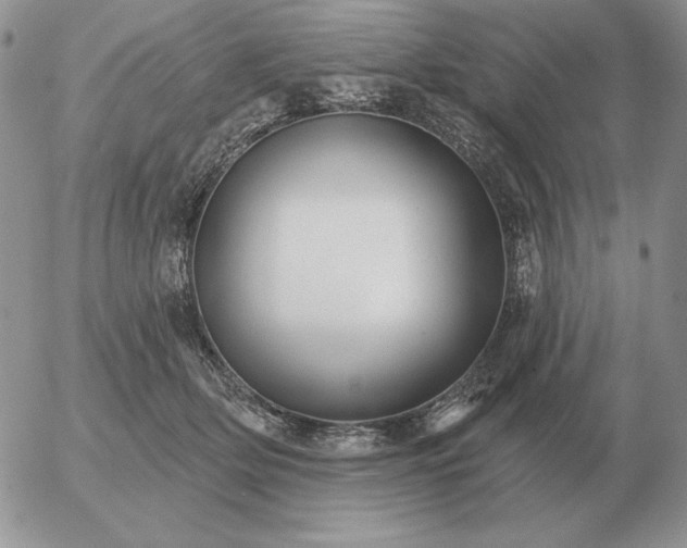 X0000052980514200507221331