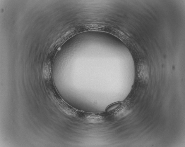 X0000052980515200507221331