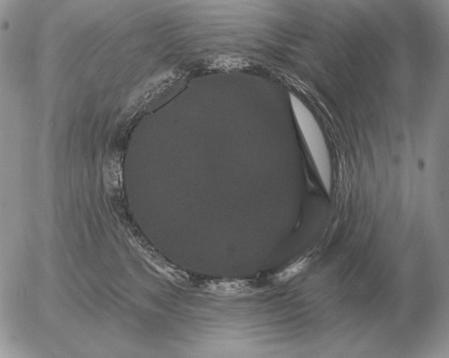 X0000052980517200507221331