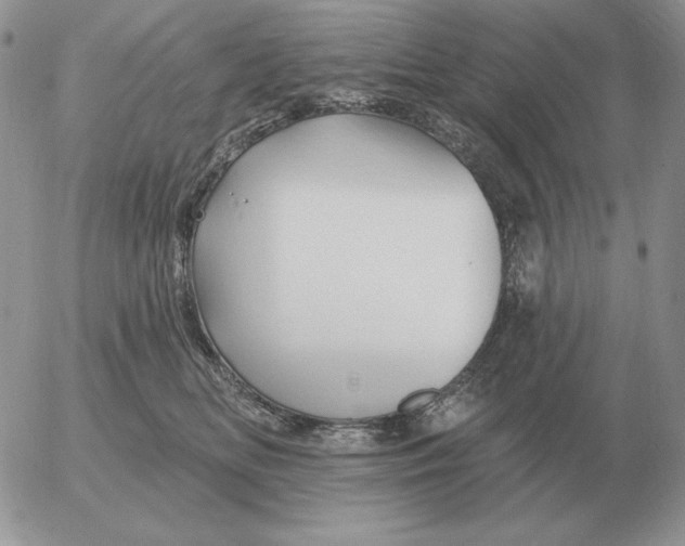 X0000052980518200507221331