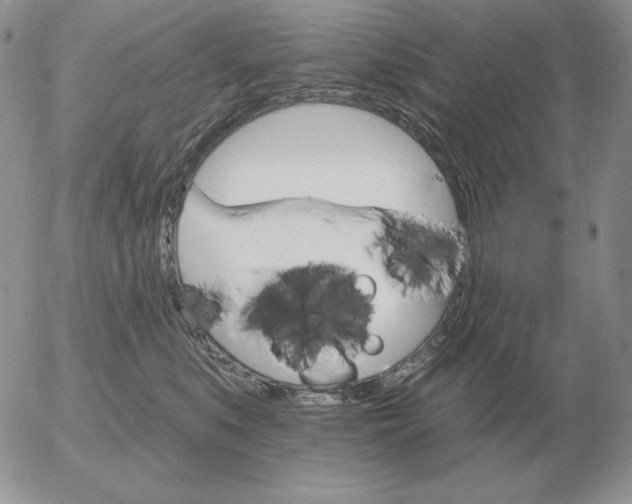 X0000052980519200507221331