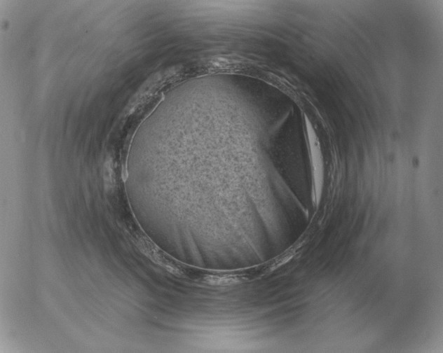 X0000052980520200507221331