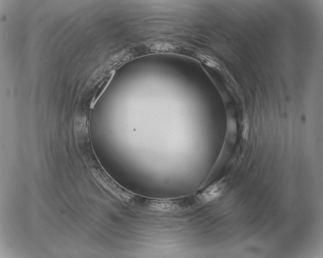 X0000052980521200507221331