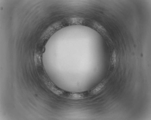 X0000052980522200507221331