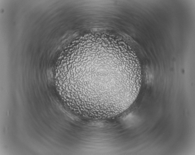 X0000052980523200507221331