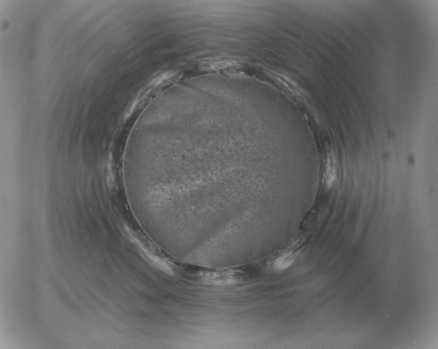 X0000052980524200507221331