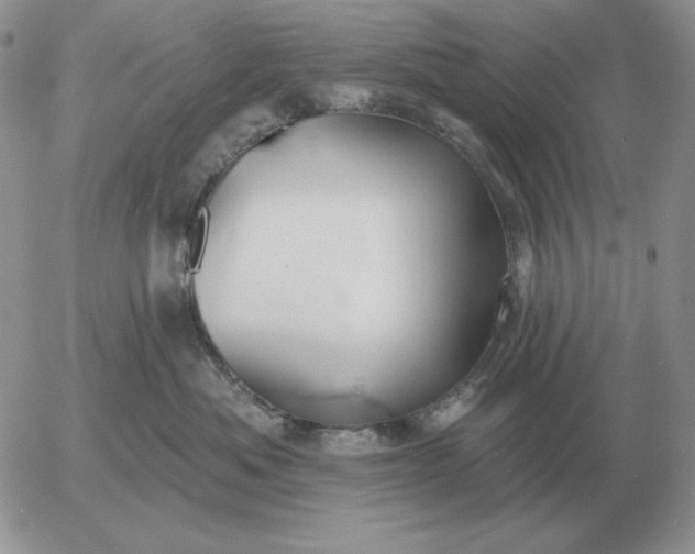 X0000052980525200507221331