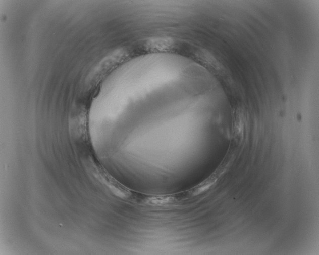 X0000052980526200507221331