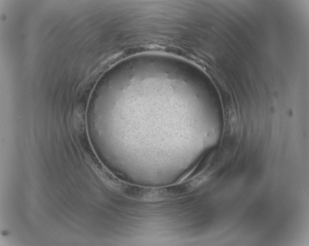 X0000052980527200507221331