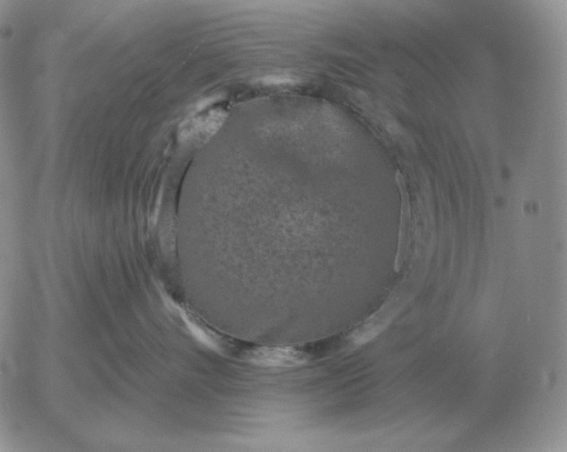 X0000052980528200507221331