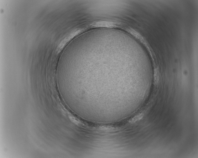 X0000052980529200507221330