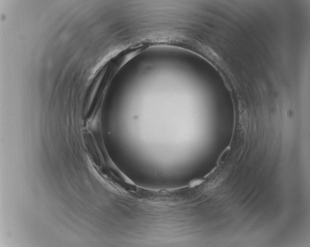 X0000052980530200507221330