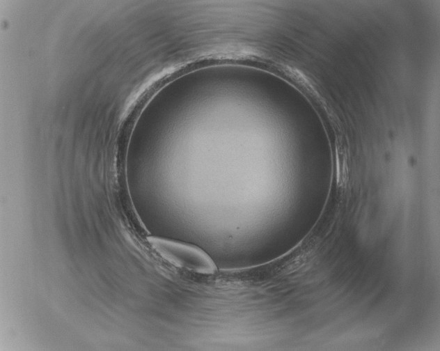 X0000052980531200507221330