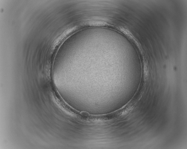 X0000052980533200507221330