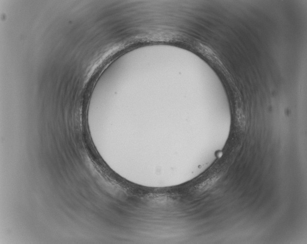 X0000052980534200507221330