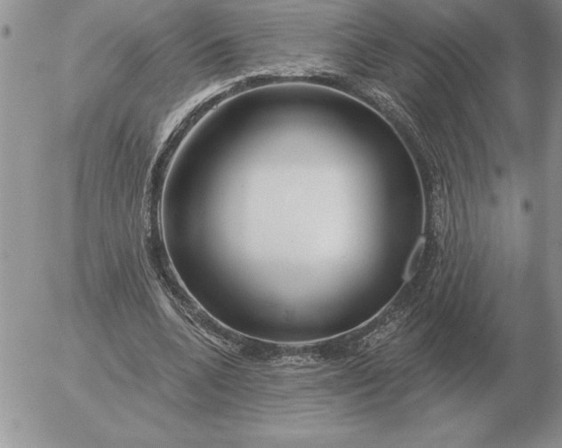 X0000052980536200507221330