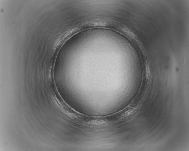 X0000052980537200507221330