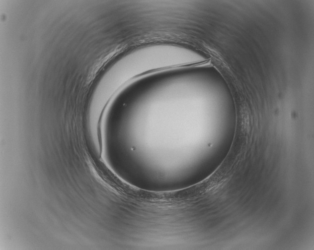 X0000052980538200507221330