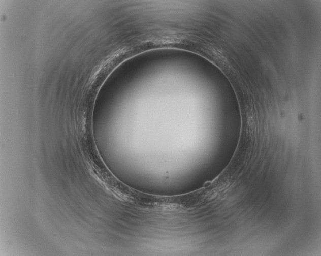 X0000052980539200507221330