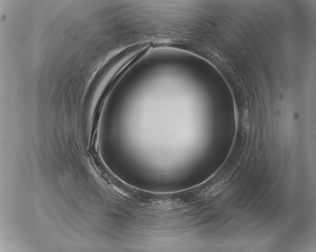 X0000052980540200507221330