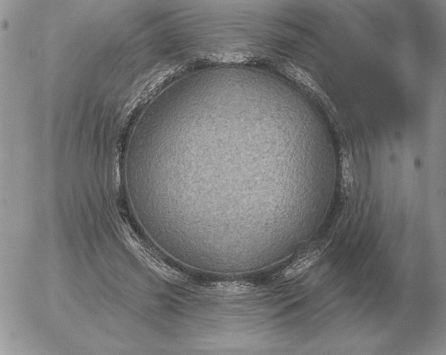 X0000052980541200507221330