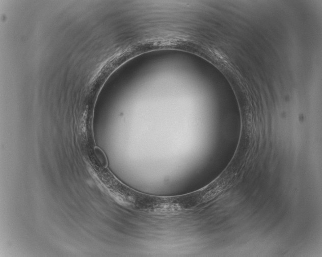 X0000052980543200507221330