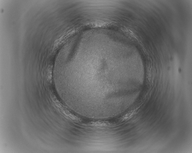 X0000052980545200507221330