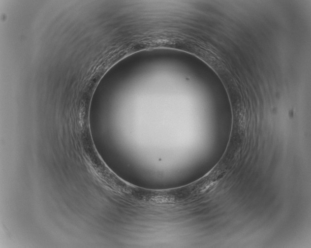 X0000052980546200507221330