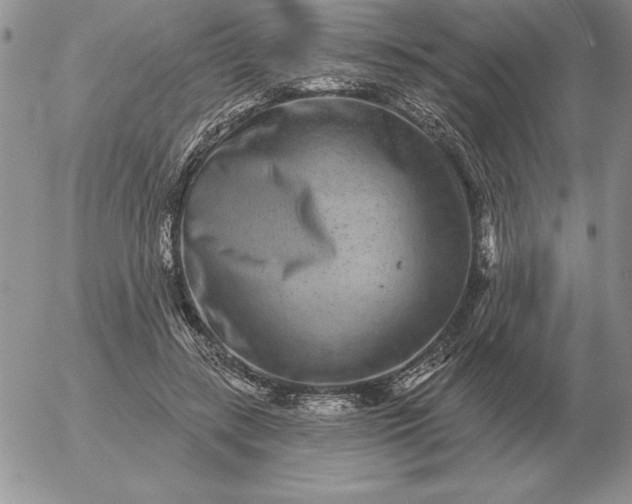 X0000052980547200507221330