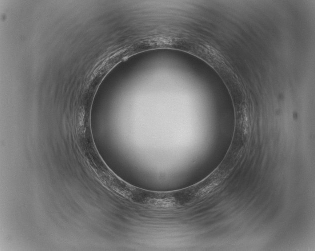 X0000052980548200507221330