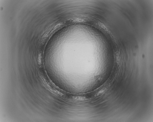 X0000052980549200507221330