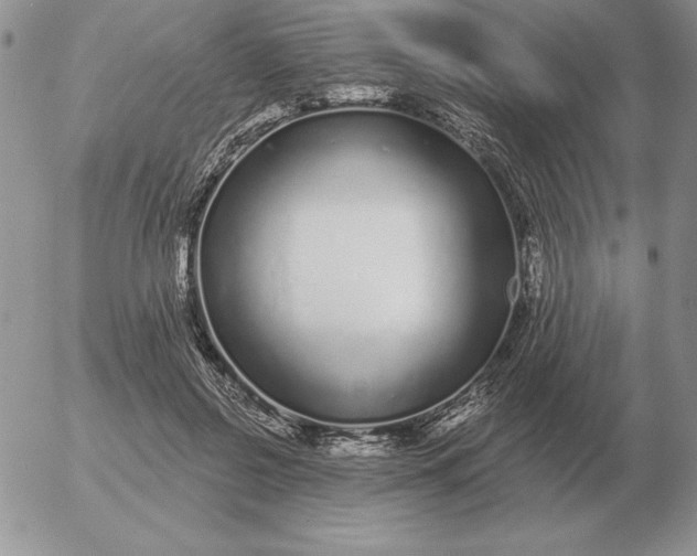 X0000052980550200507221330