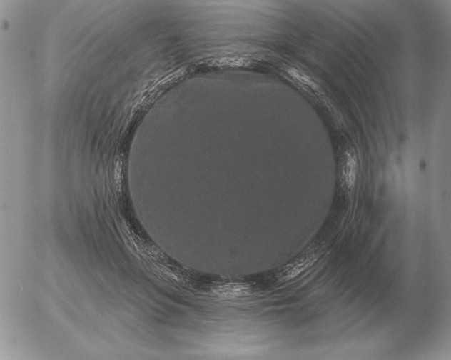 X0000052980551200507221330