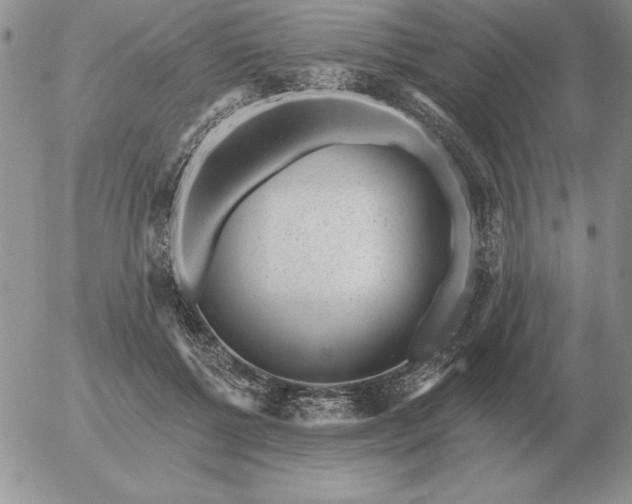 X0000052980552200507221330