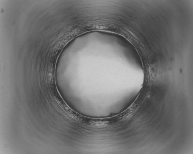 X0000052980553200507221330