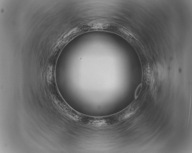 X0000052980554200507221330