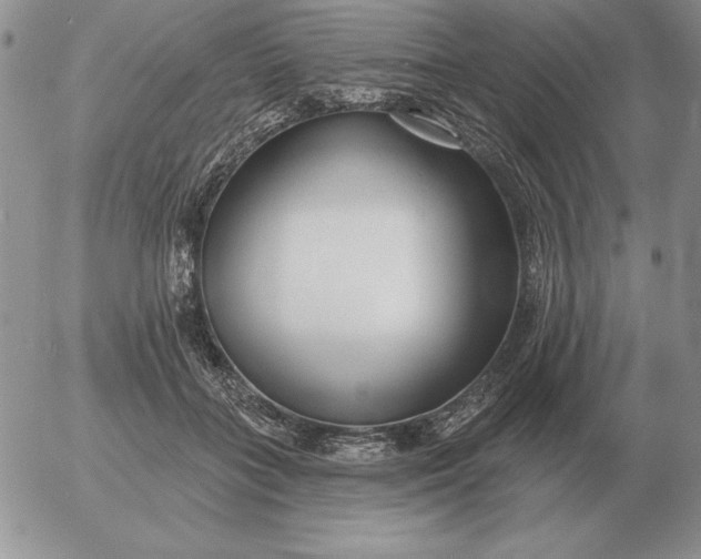 X0000052980555200507221330