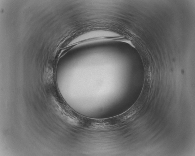 X0000052980556200507221330