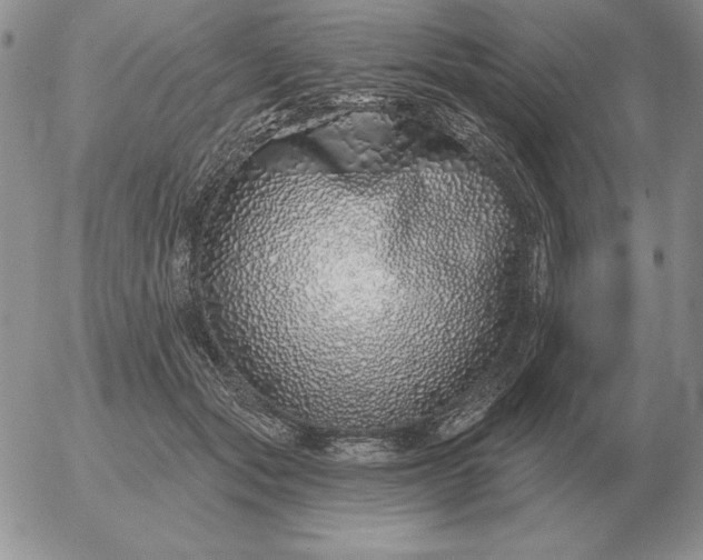 X0000052980557200507221330