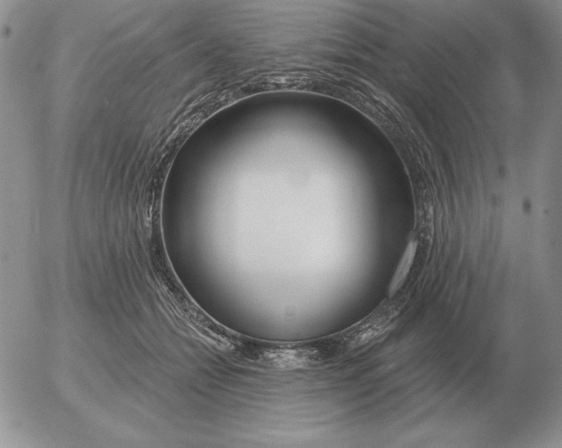 X0000052980558200507221330