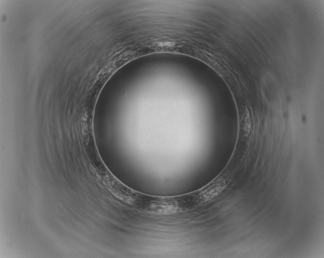 X0000052980559200507221330